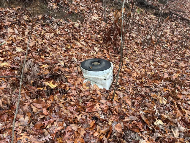 a view of mountain view with large trees