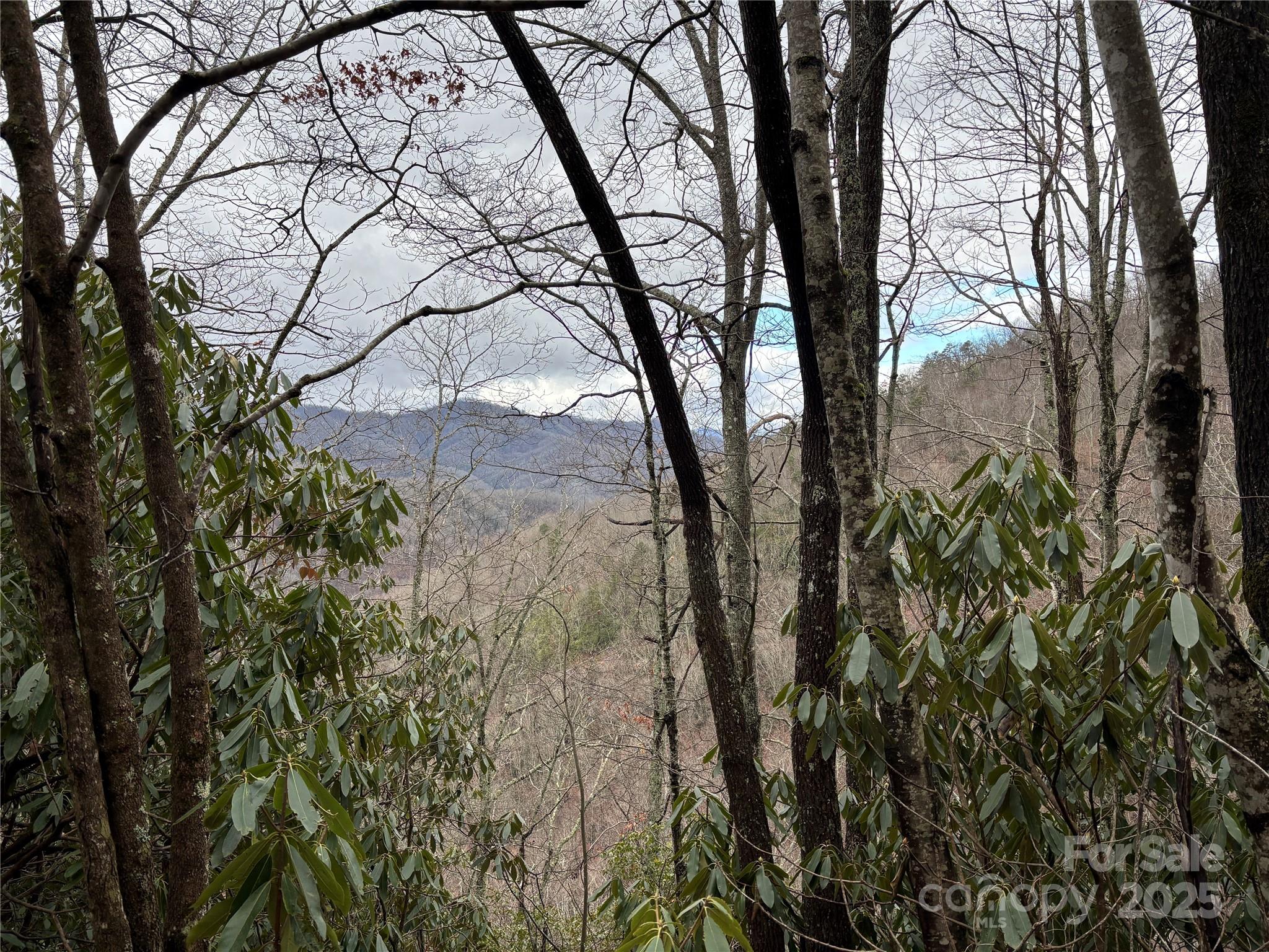 Off Alarka Road Bryson City, NC 28713 - Photo 22 of 43 a view of mountain view with large trees