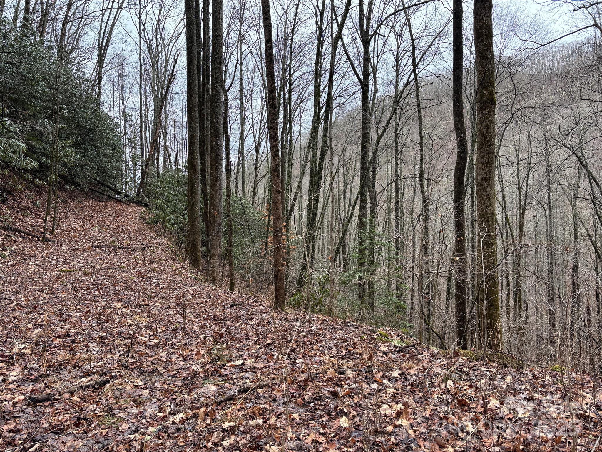 Off Alarka Road Bryson City, NC 28713 - Photo 25 of 43 a backyard of a house with lots of green space