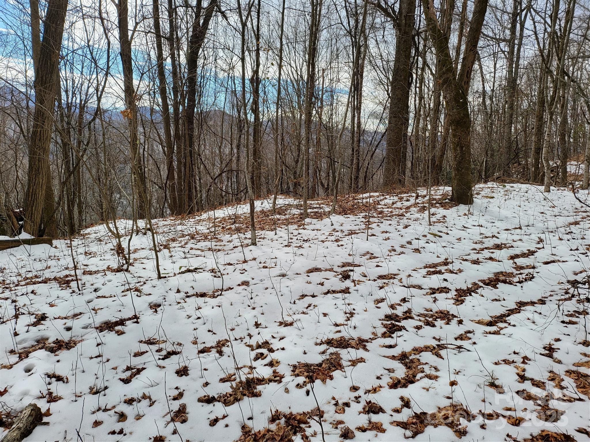 Off Alarka Road Bryson City, NC 28713 - Photo 29 of 43 a view of a snow with trees in the background
