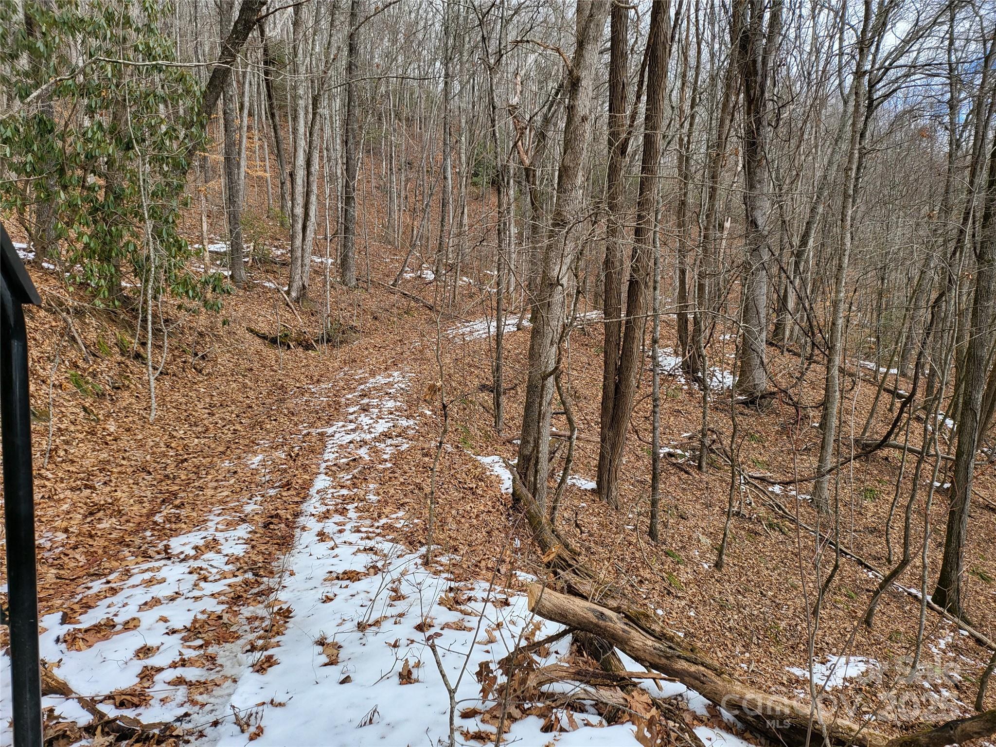 Off Alarka Road Bryson City, NC 28713 - Photo 30 of 43 a view of a yard with large trees