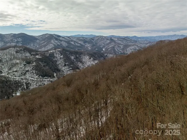 a view of a dry yard with mountains in the background