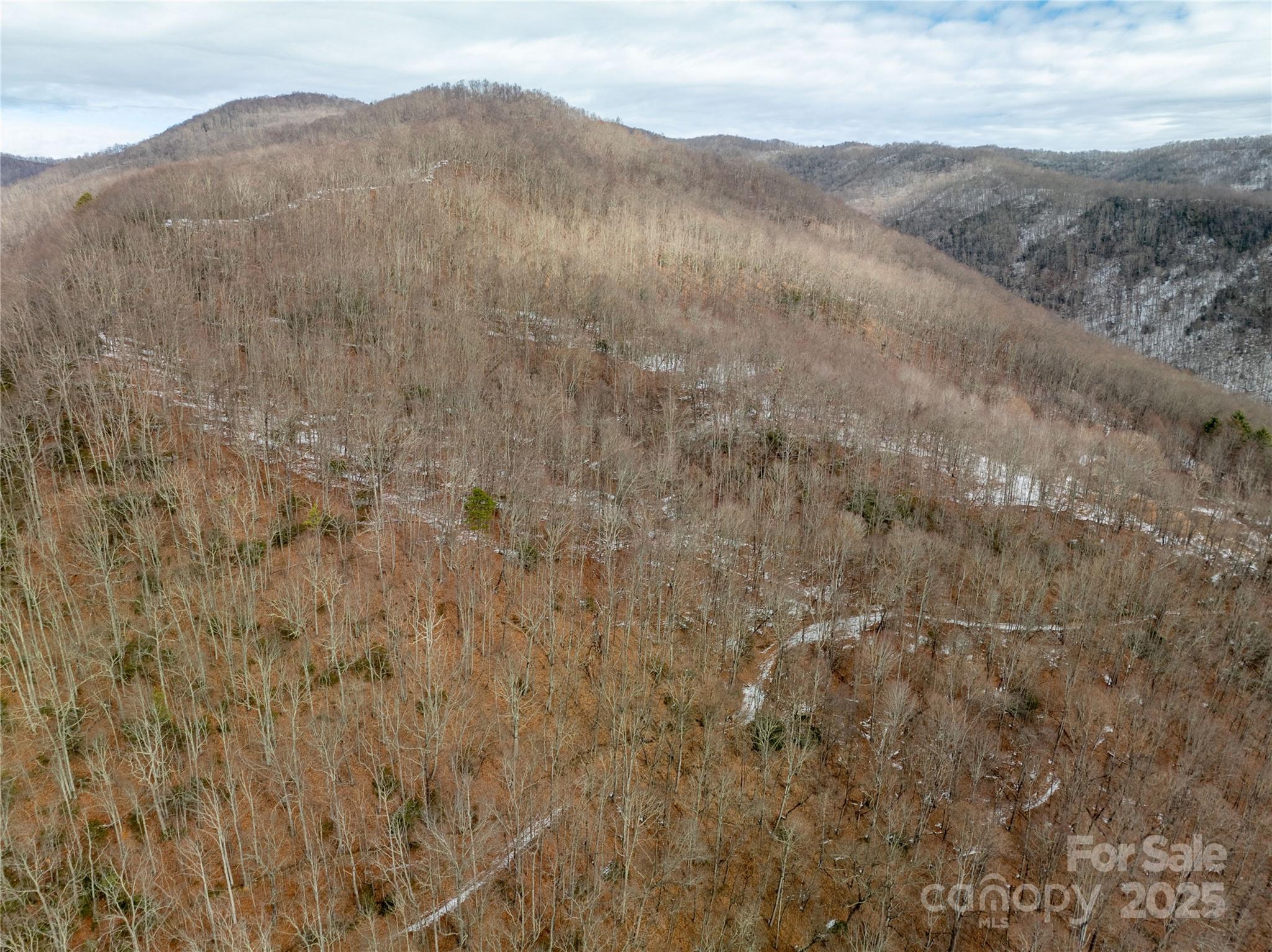 Off Alarka Road Bryson City, NC 28713 - Photo 39 of 43 a view of a dry yard with mountains in the background