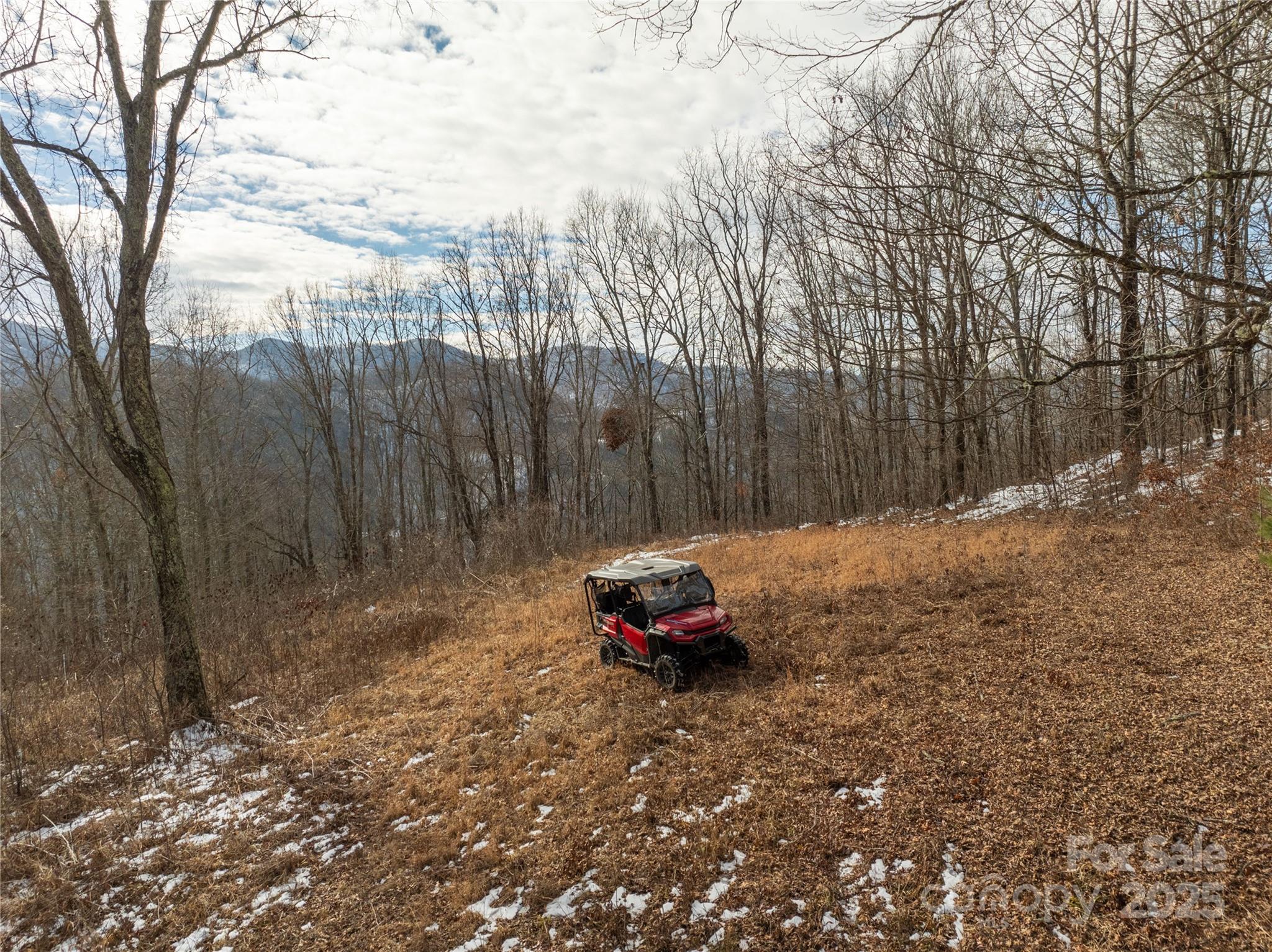 Off Alarka Road Bryson City, NC 28713 - Photo 40 of 43 a green field with some trees in front of it