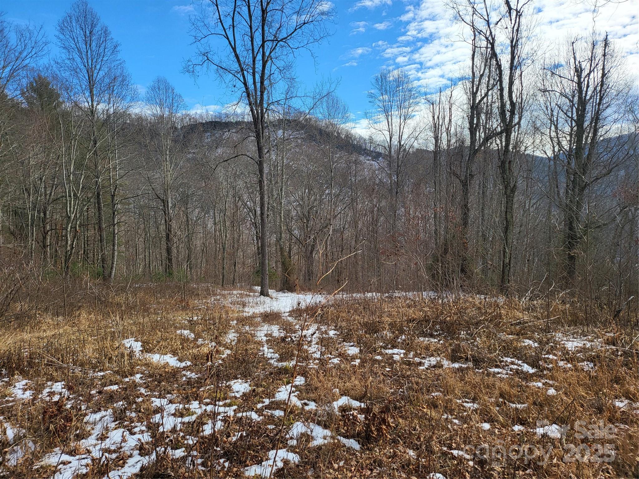 Off Alarka Road Bryson City, NC 28713 - Photo 4 of 43 a view of a yard with trees in the background