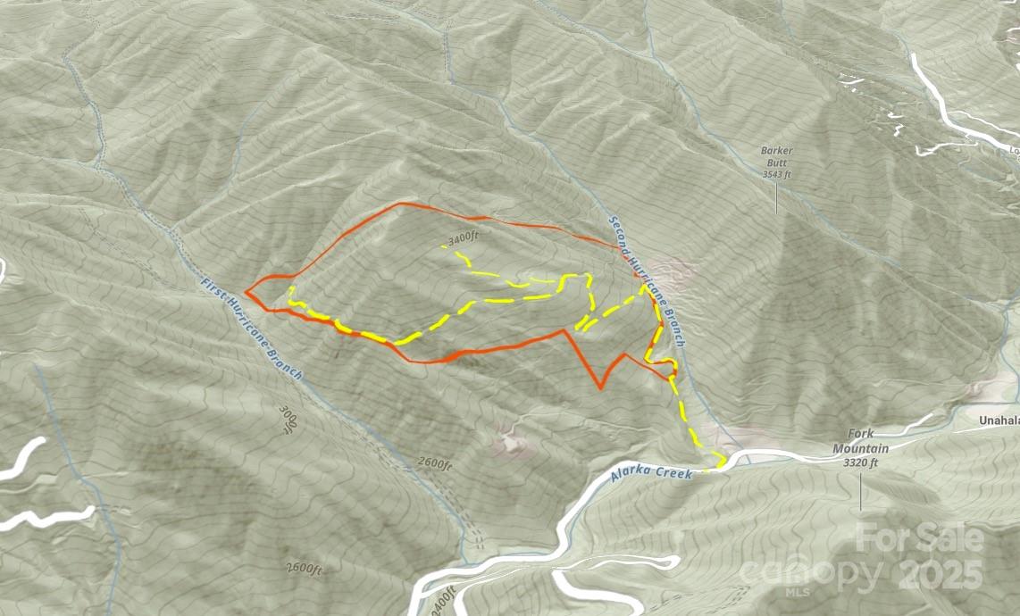 Off Alarka Road Bryson City, NC 28713 - Photo 42 of 43 a view of a swimming pool