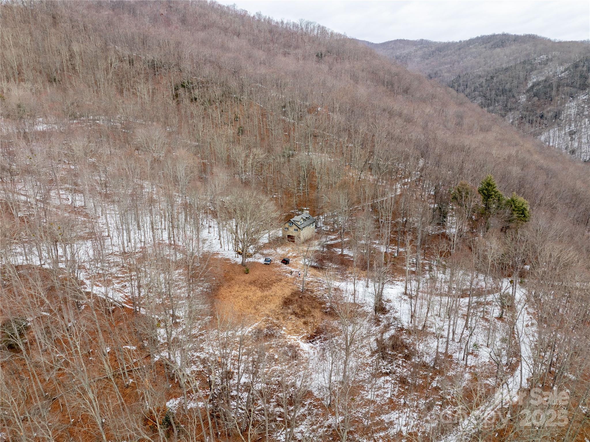 Off Alarka Road Bryson City, NC 28713 - Photo 5 of 43 a view of a dry yard with trees