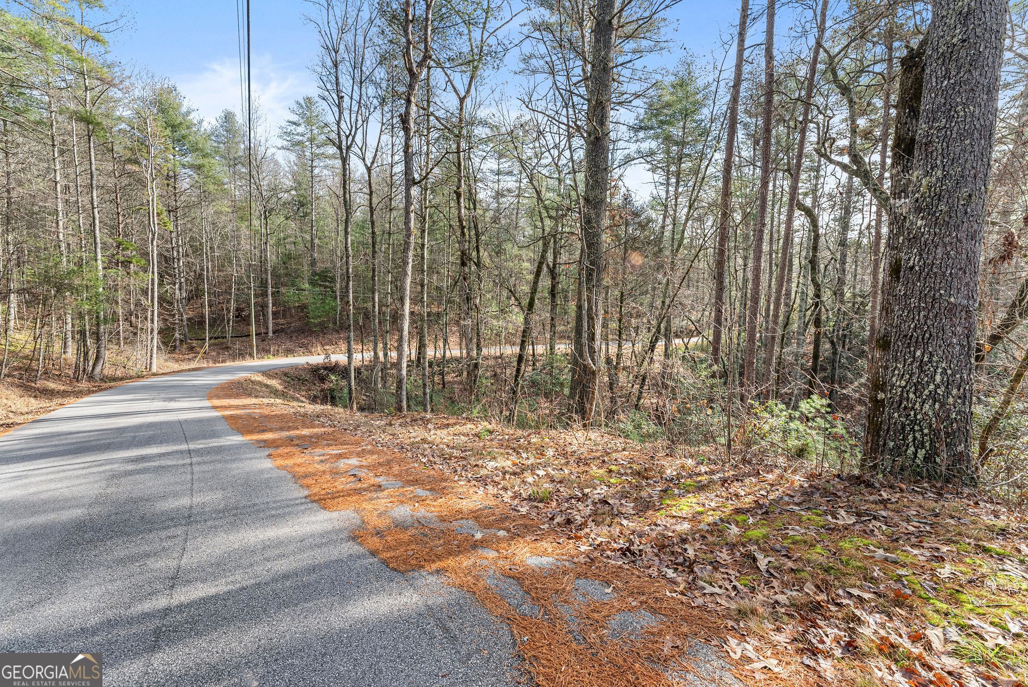 1036 Soque Wilderness Road Clarkesville, GA 30523 - Photo 12 of 16 County Maintained Road.