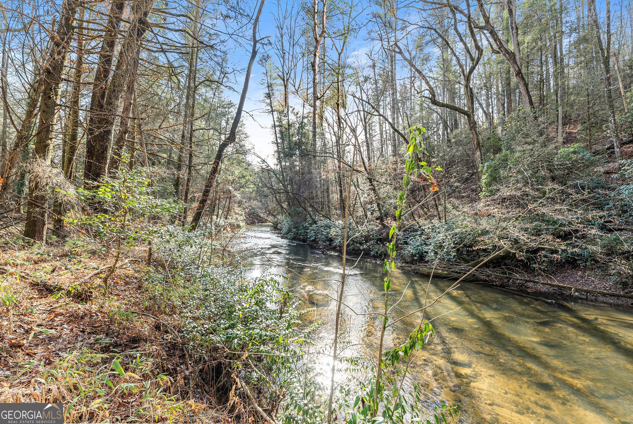 1036 Soque Wilderness Road Clarkesville, GA 30523 - Photo 4 of 16