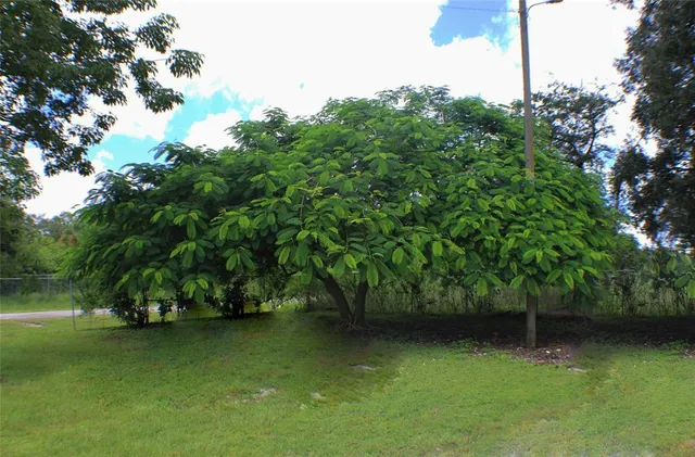 $465,000 | 475 North Arboleda Street, Clewiston, FL 33440