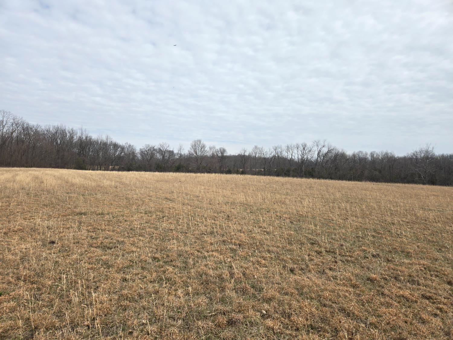 48 Mettle Road Laurel, IN 47024 - Photo 9 of 23