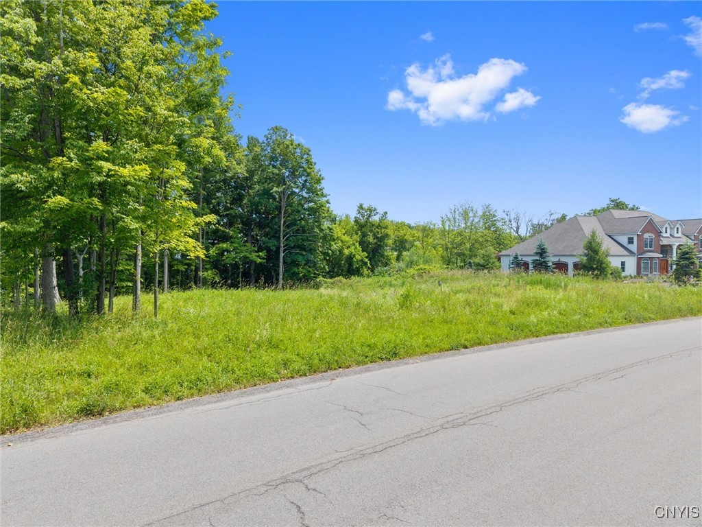 7101 Kittiwake Run Manlius, NY 13104 - Photo 3 of 14