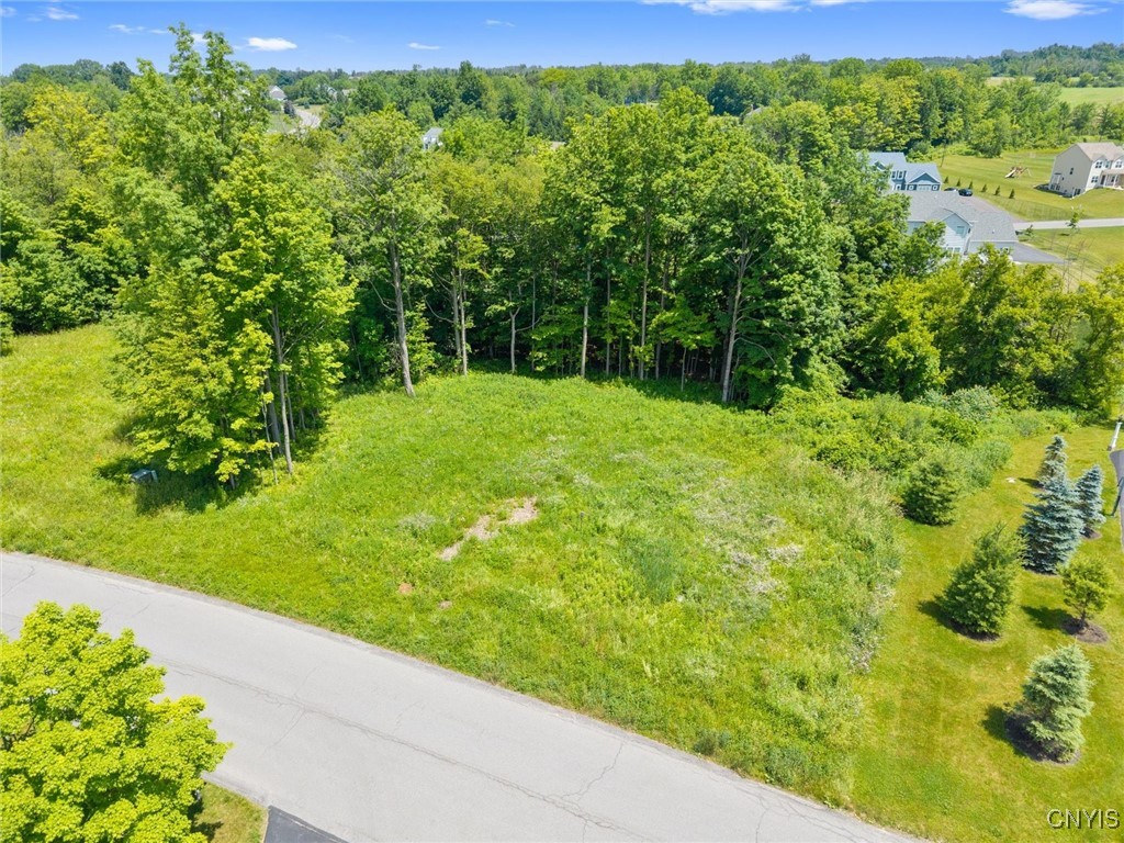 7101 Kittiwake Run Manlius, NY 13104 - Photo 6 of 14