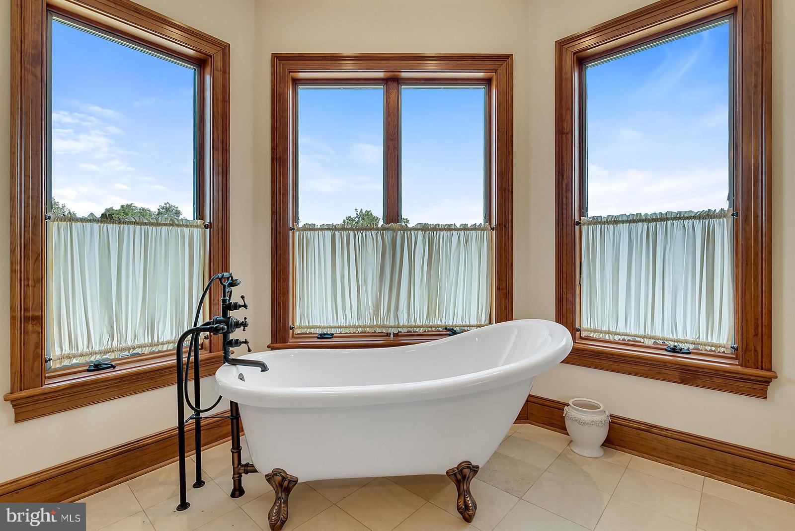 13036 Old Stillhouse Road Boston, VA 22713 - Photo 16 of 75 Master bath hers