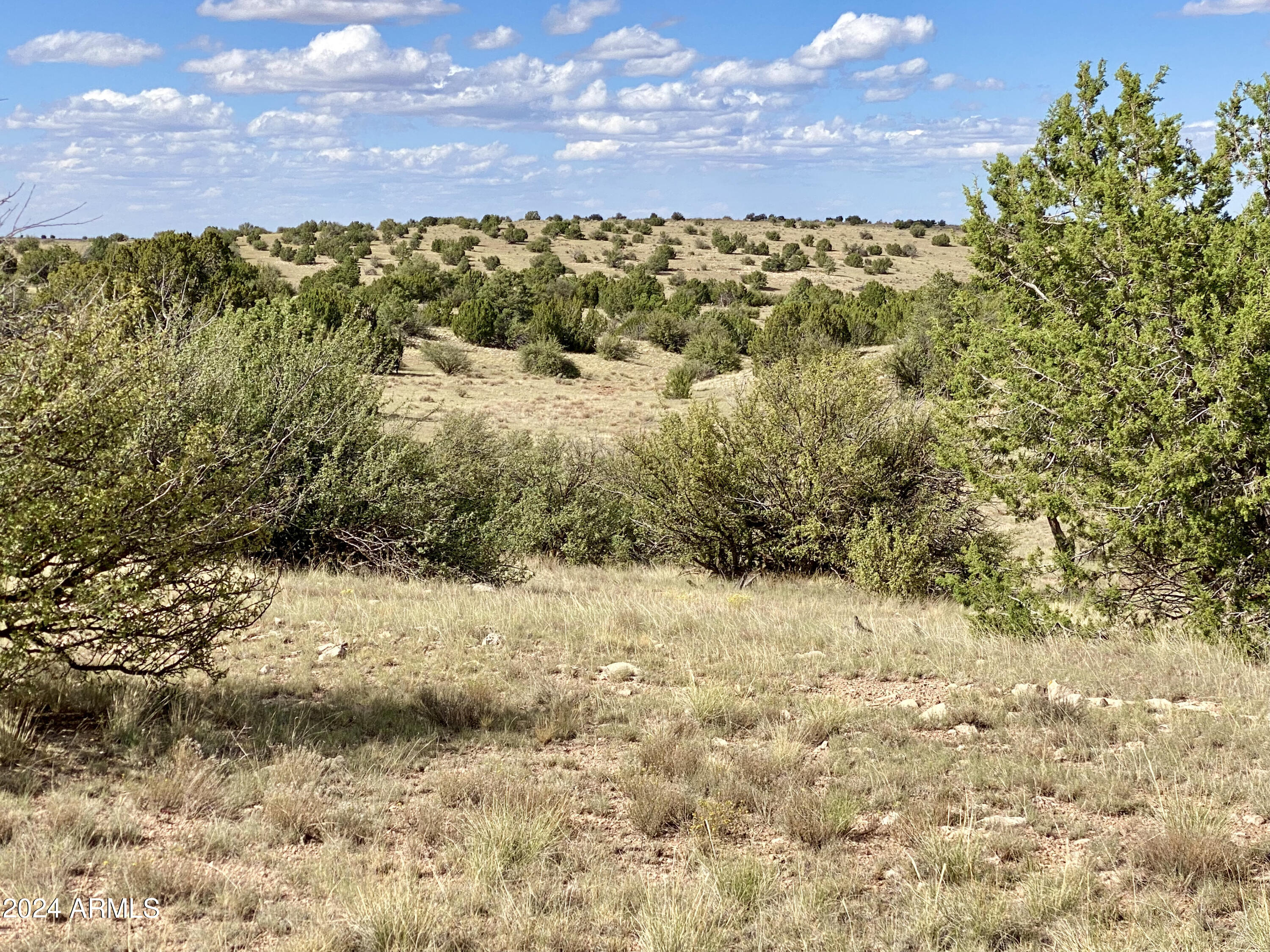 5733 West Clove Hitch Road, Unit 356 Williams, AZ 86046 - Photo 11 of 23 IMG_7227