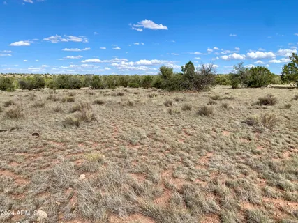 a view of a yard with a building
