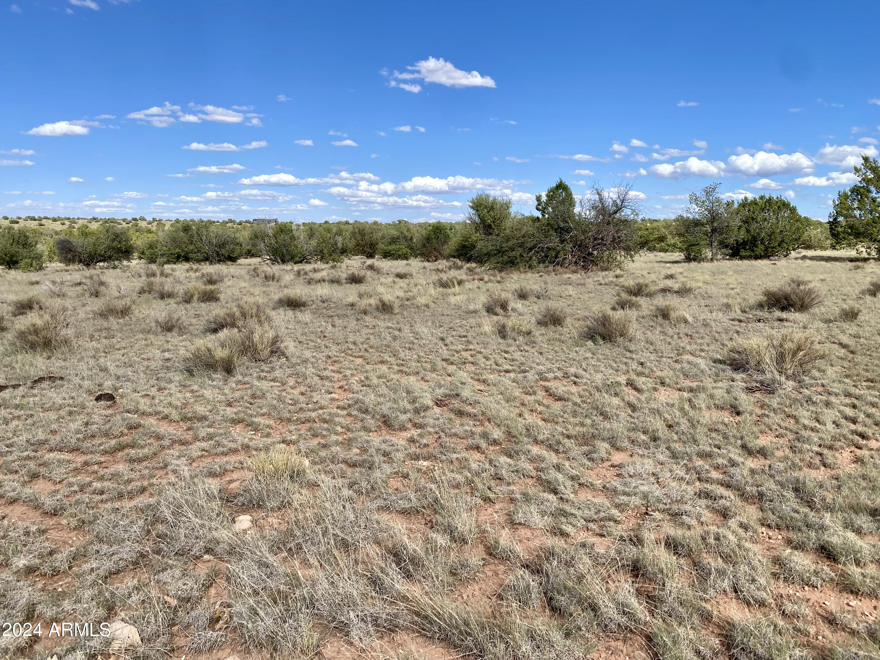 5733 West Clove Hitch Road, Unit 356 Williams, AZ 86046 - Photo 12 of 23 IMG_7226