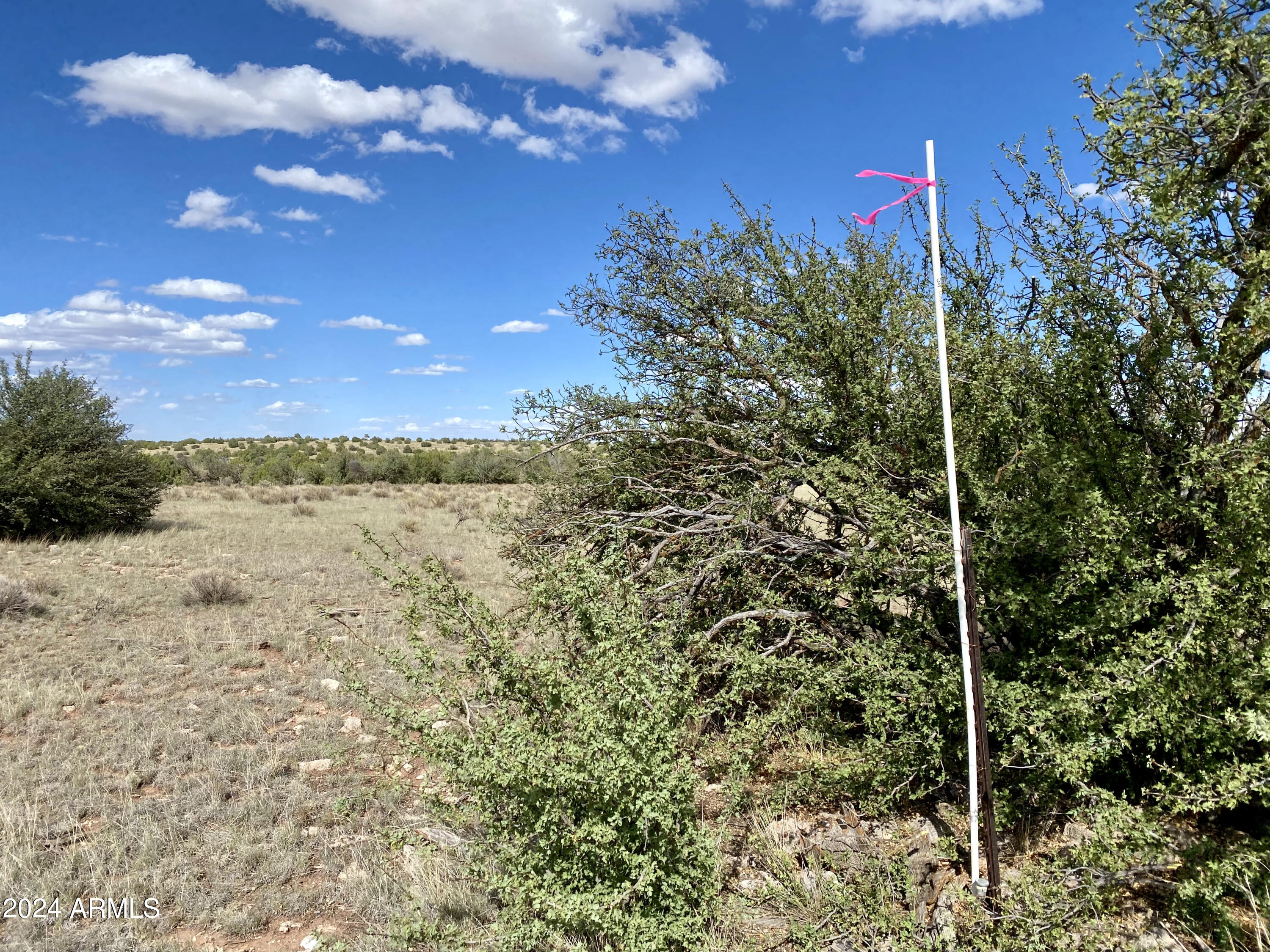 5733 West Clove Hitch Road, Unit 356 Williams, AZ 86046 - Photo 13 of 23 IMG_7224