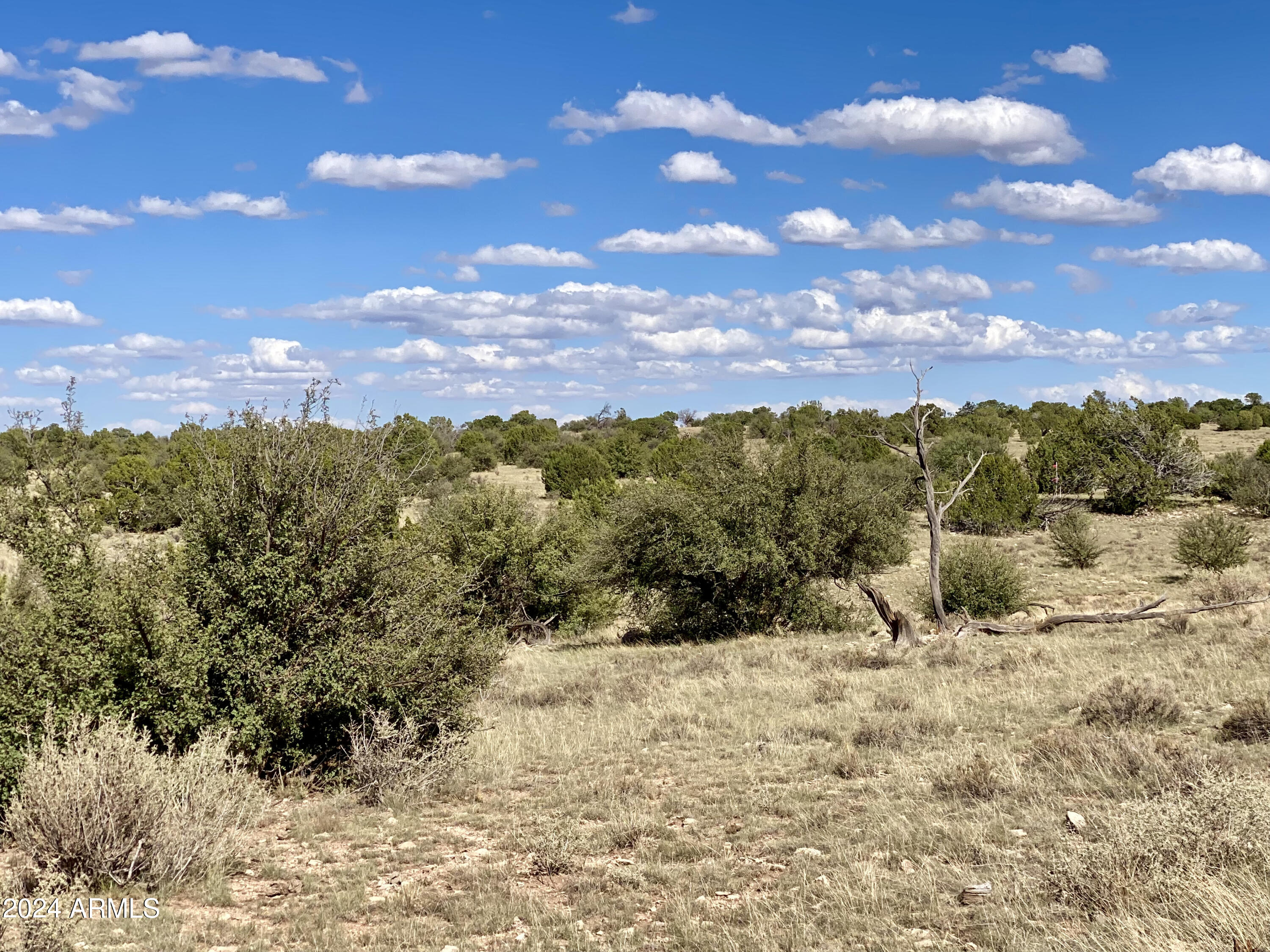 5733 West Clove Hitch Road, Unit 356 Williams, AZ 86046 - Photo 14 of 23 IMG_7221