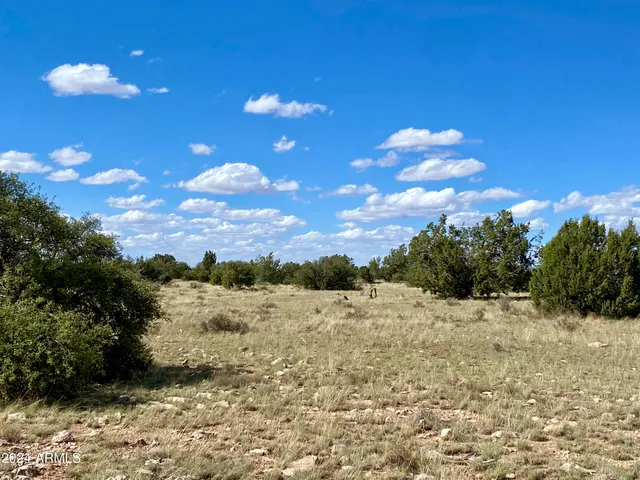 a view of an ocean beach