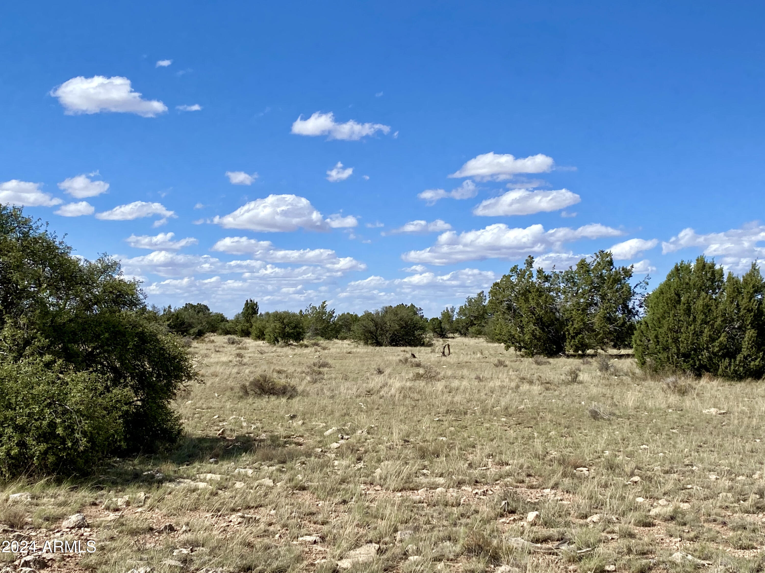 5733 West Clove Hitch Road, Unit 356 Williams, AZ 86046 - Photo 15 of 23 IMG_7220