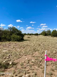 a view of a big yard with lots of green space