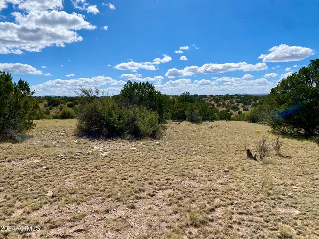 $60,000 | 5733 West Clove Hitch Road, Unit 356, Williams, AZ 86046