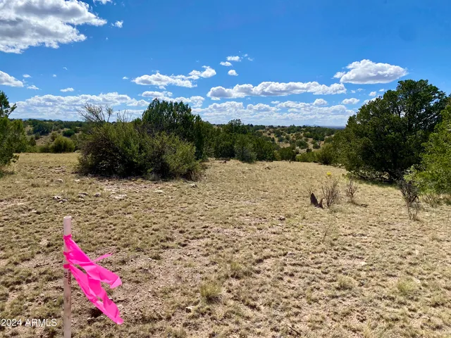 $60,000 | 5733 West Clove Hitch Road, Unit 356, Williams, AZ 86046
