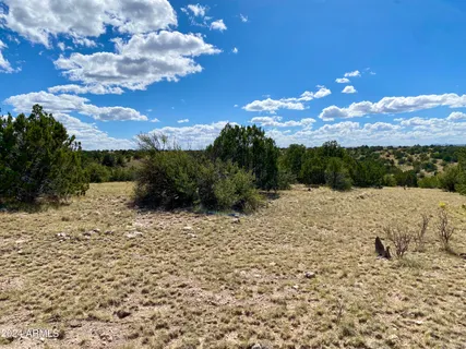 a view of a backyard of a house