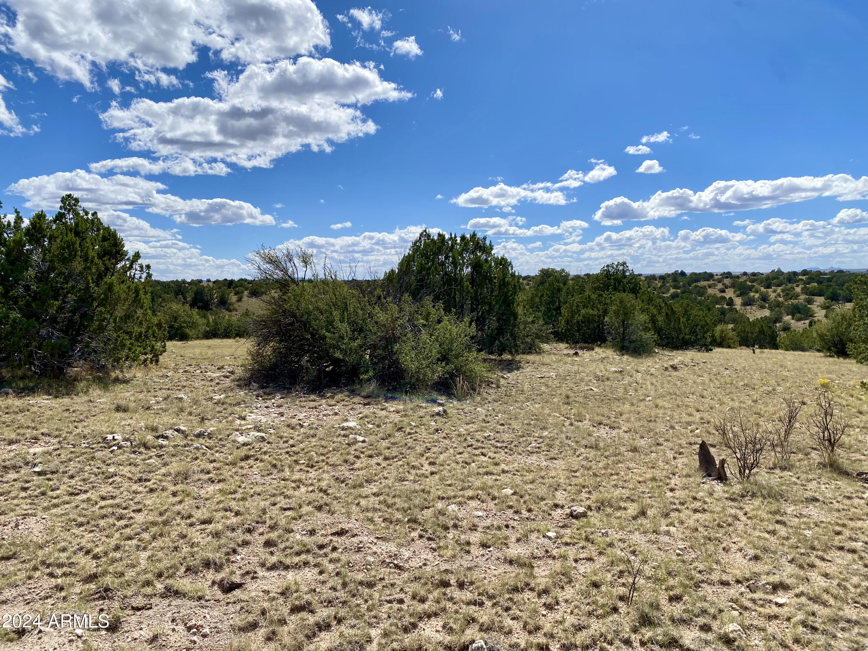 5733 West Clove Hitch Road, Unit 356 Williams, AZ 86046 - Photo 20 of 23 IMG_7215