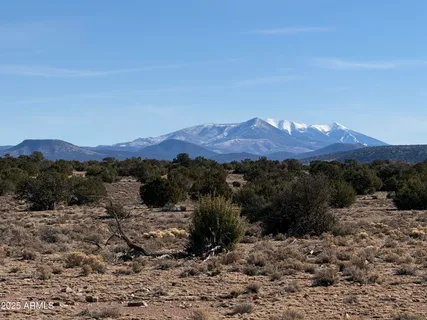 a view of a lush green field with mountains in the background
