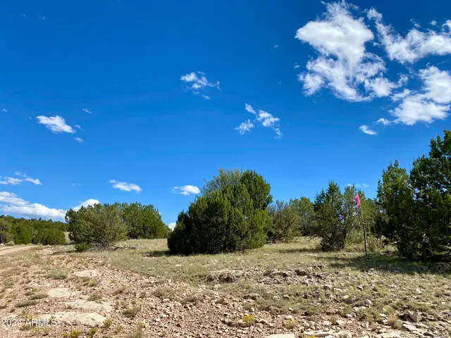 $60,000 | 5733 West Clove Hitch Road, Unit 356, Williams, AZ 86046