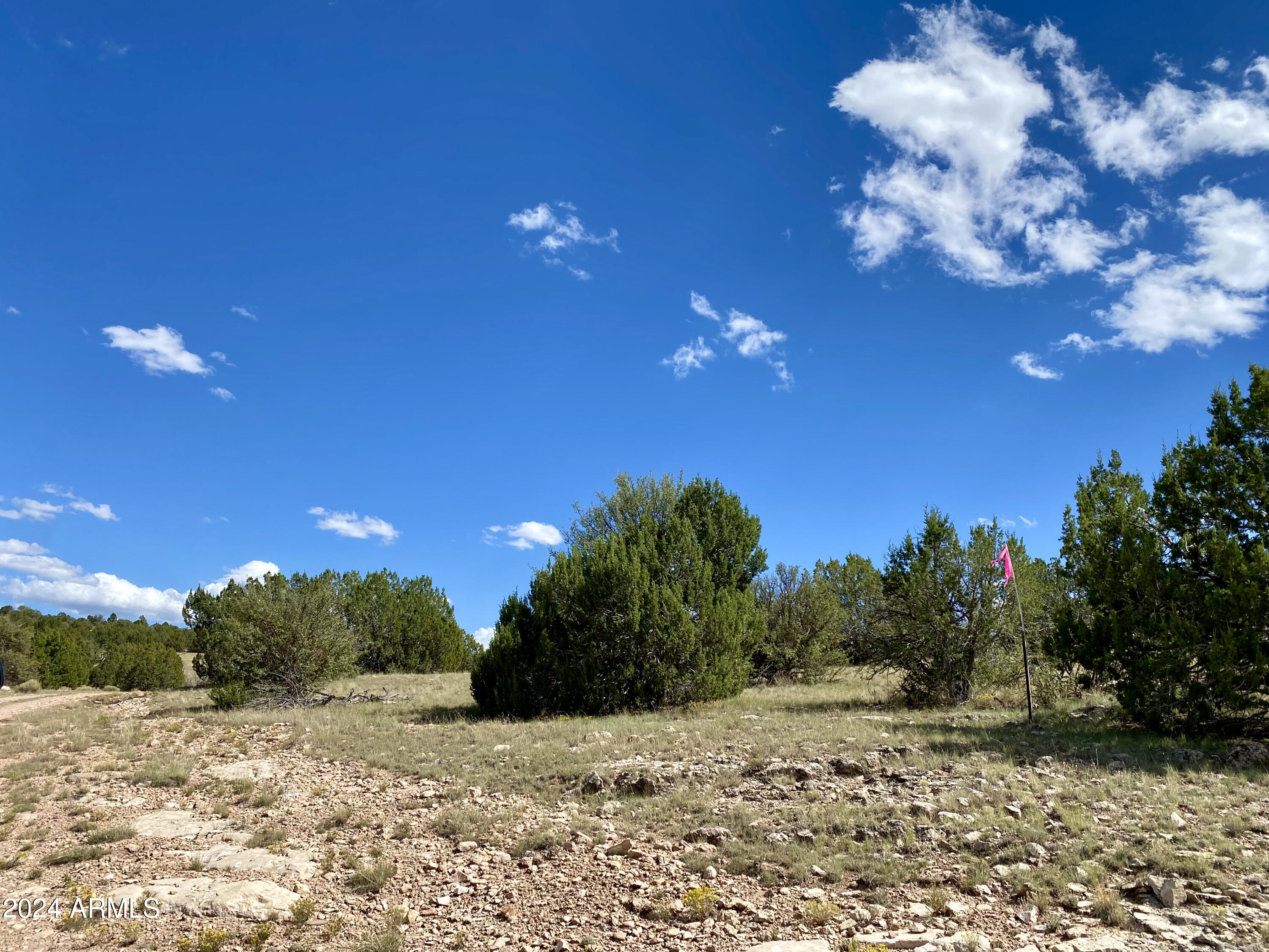 5733 West Clove Hitch Road, Unit 356 Williams, AZ 86046 - Photo 23 of 23 IMG_7203