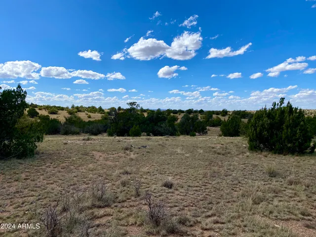 a view of a big yard with lots of green space