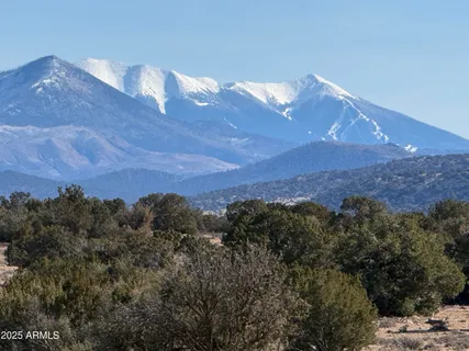 a view of a house in a field