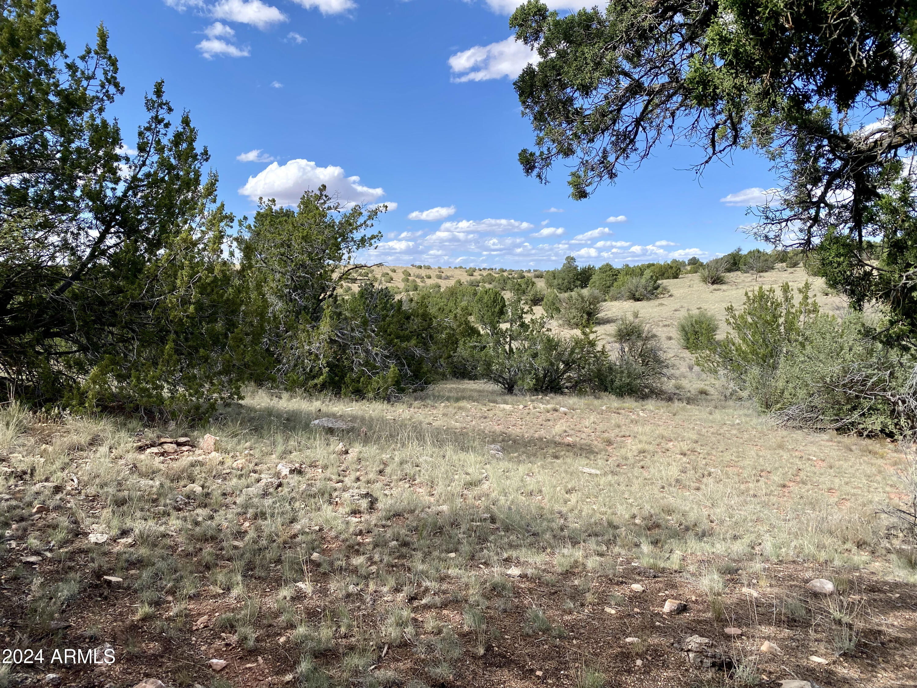 5733 West Clove Hitch Road, Unit 356 Williams, AZ 86046 - Photo 4 of 23 IMG_7234