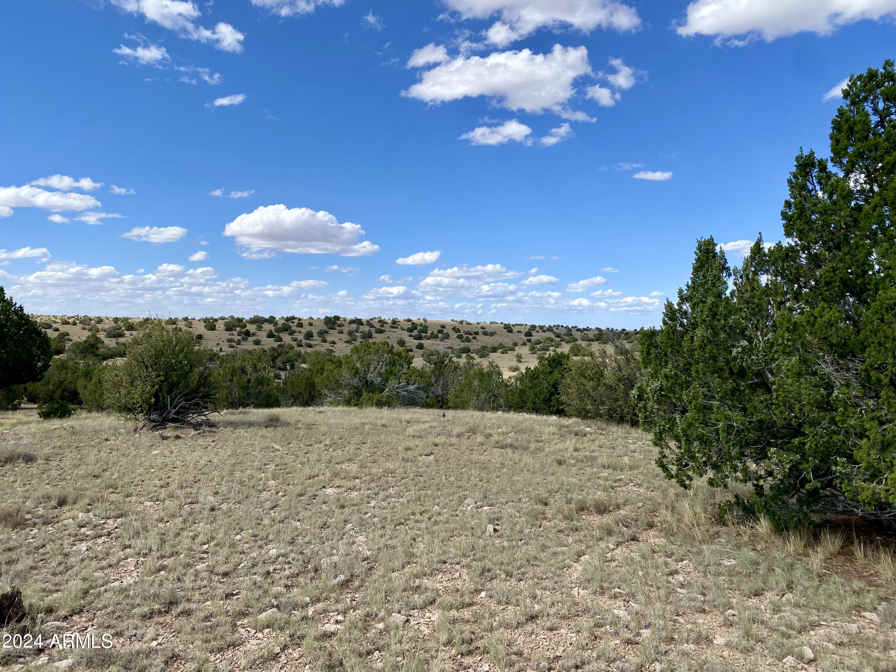 5733 West Clove Hitch Road, Unit 356 Williams, AZ 86046 - Photo 5 of 23 IMG_7233