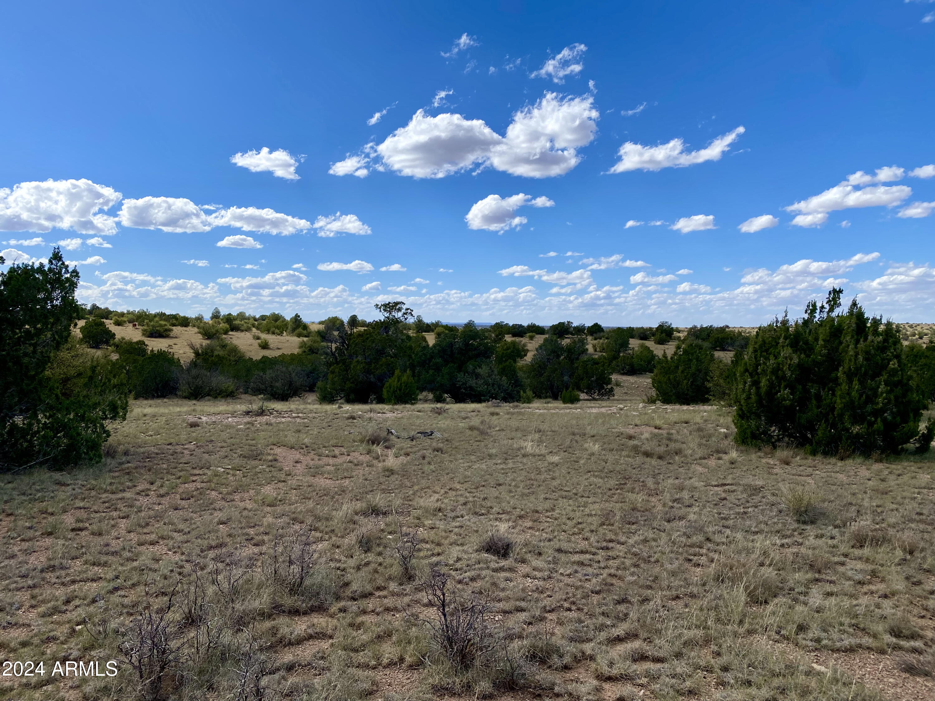 5733 West Clove Hitch Road, Unit 356 Williams, AZ 86046 - Photo 6 of 23 IMG_7232
