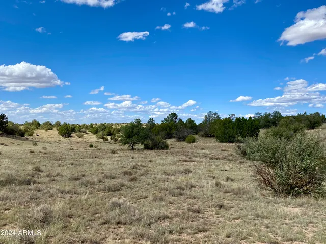 a view of a dry yard with mountains in the background