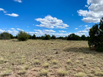 a view of a pathway with a yard