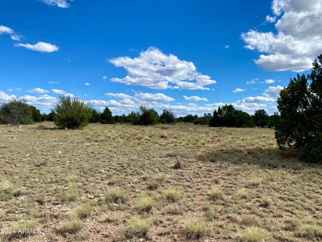a view of a pathway with a yard