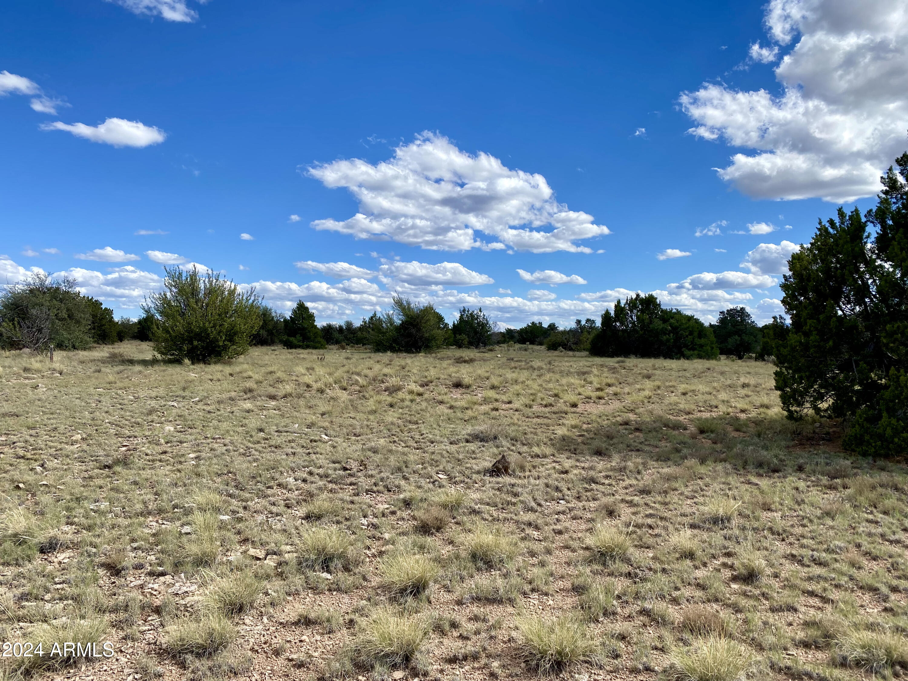 5733 West Clove Hitch Road, Unit 356 Williams, AZ 86046 - Photo 7 of 23 IMG_7231