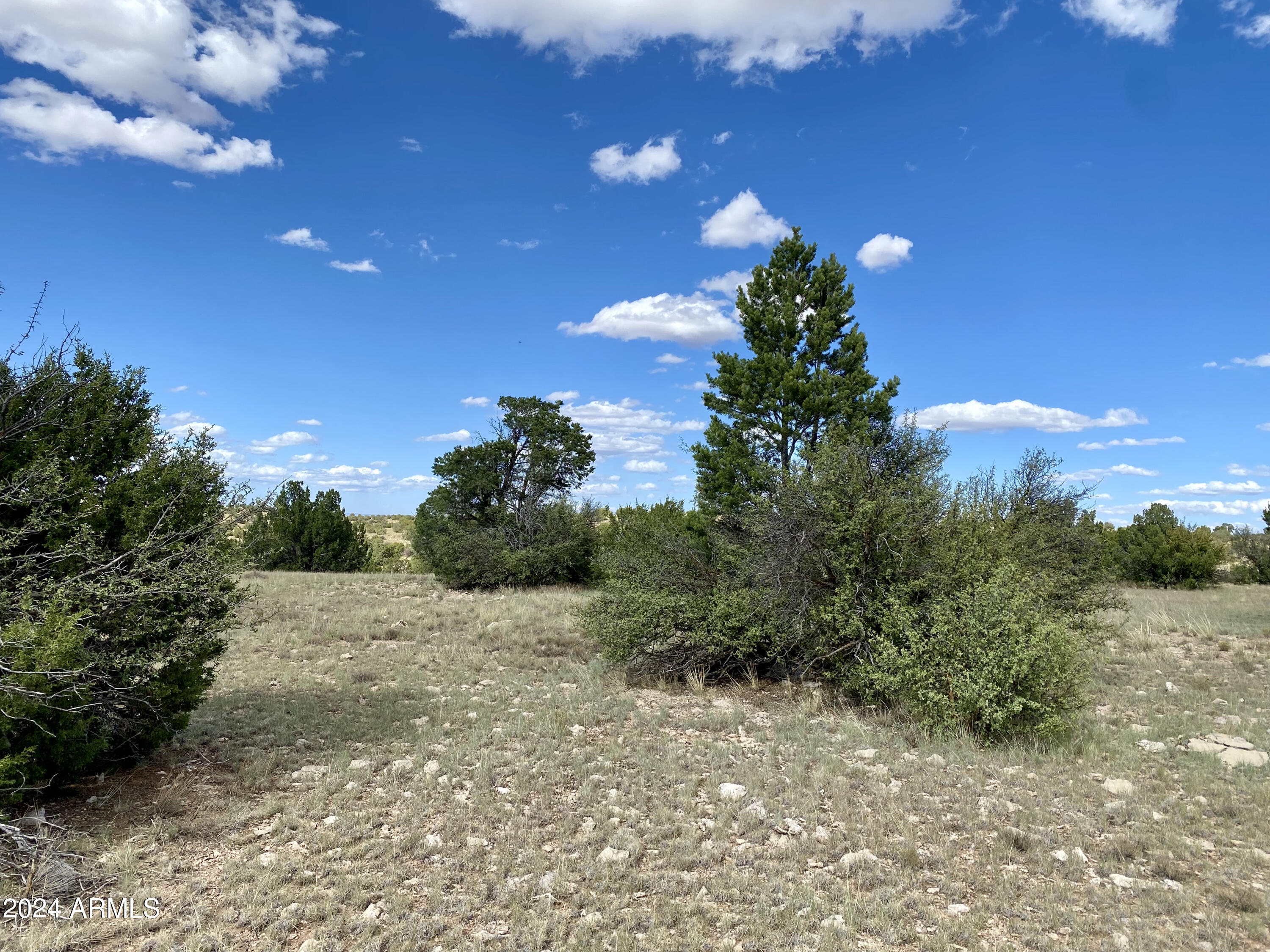 5733 West Clove Hitch Road, Unit 356 Williams, AZ 86046 - Photo 8 of 23 IMG_7230