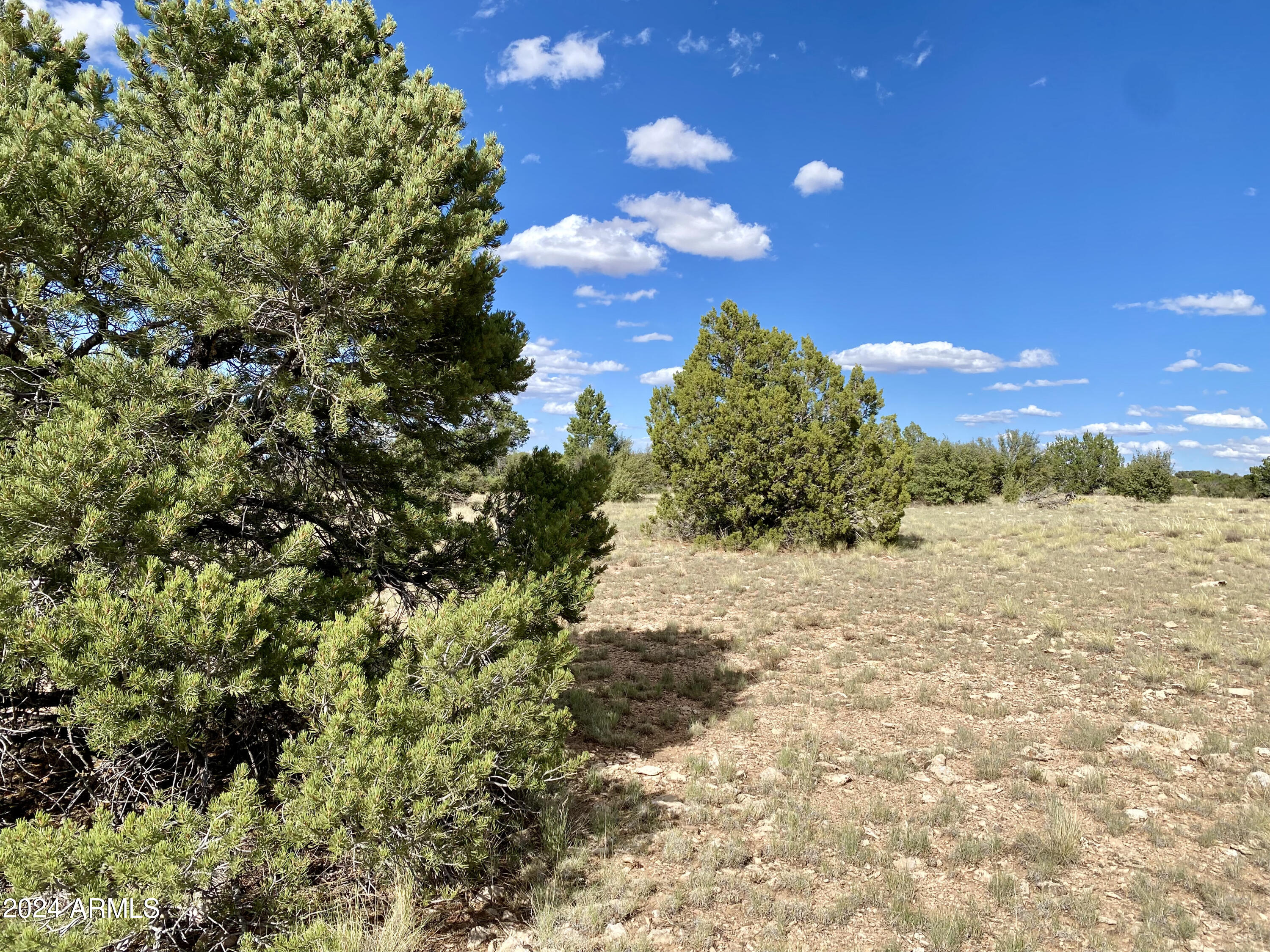 5733 West Clove Hitch Road, Unit 356 Williams, AZ 86046 - Photo 9 of 23 IMG_7229