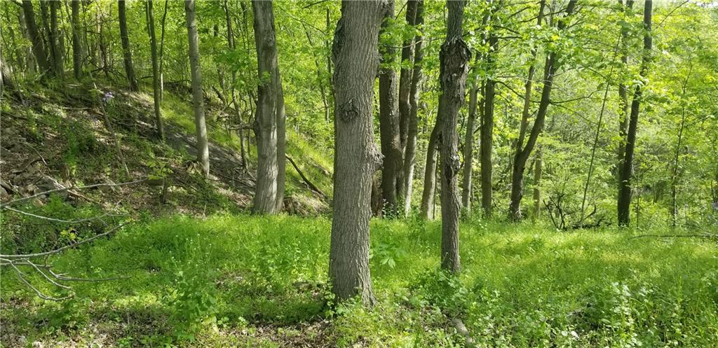 72 Locust Street Coalport, PA 16627 - Photo 3 of 7 a view of outdoor space and trees