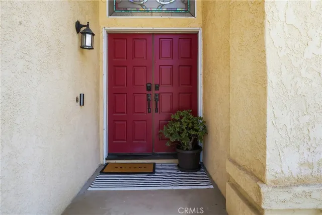 a potted plant in front of a door