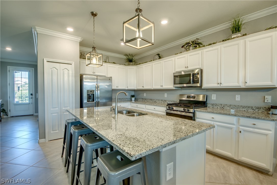 43380 Waymark Place Punta Gorda, FL 33982 - Photo 16 of 49 Gallery Image 16