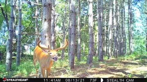 $410,000 | W2069 Elk Court, Montello, WI 53949