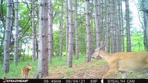 $410,000 | W2069 Elk Court, Montello, WI 53949