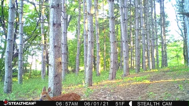 $420,000 | W2069 Elk Court, Montello, WI 53949